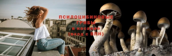 меф Новочеркасск