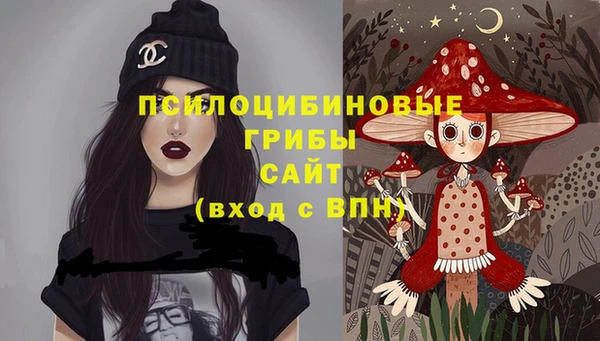 гидропоника Новодвинск