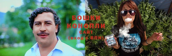 гидропоника Новодвинск