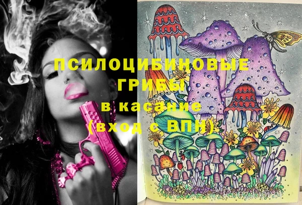 гидропоника Новодвинск