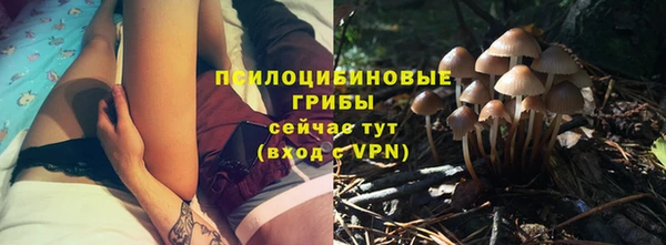 гидропоника Новодвинск